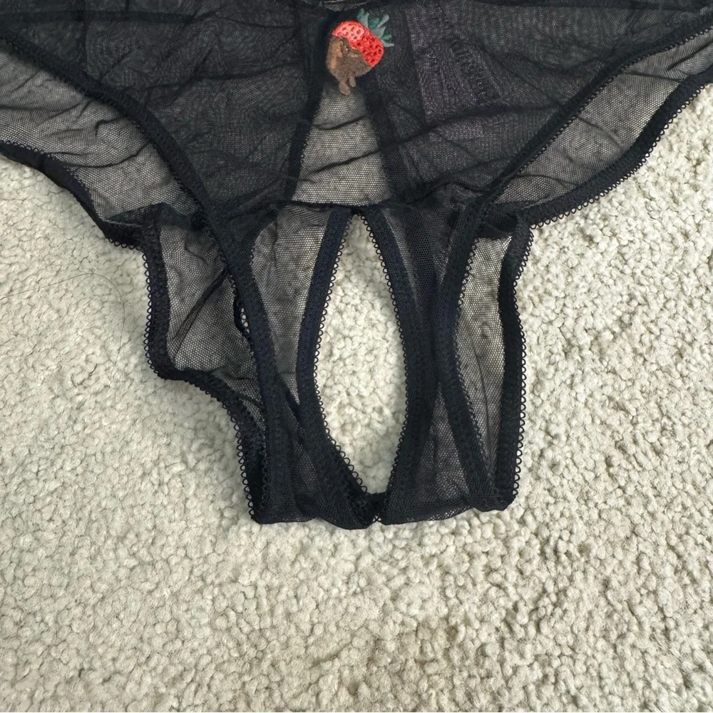 NWT Victoria's Secret Panty Crotchless Mesh Cheeky Size XXL